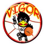 Vigor Basket